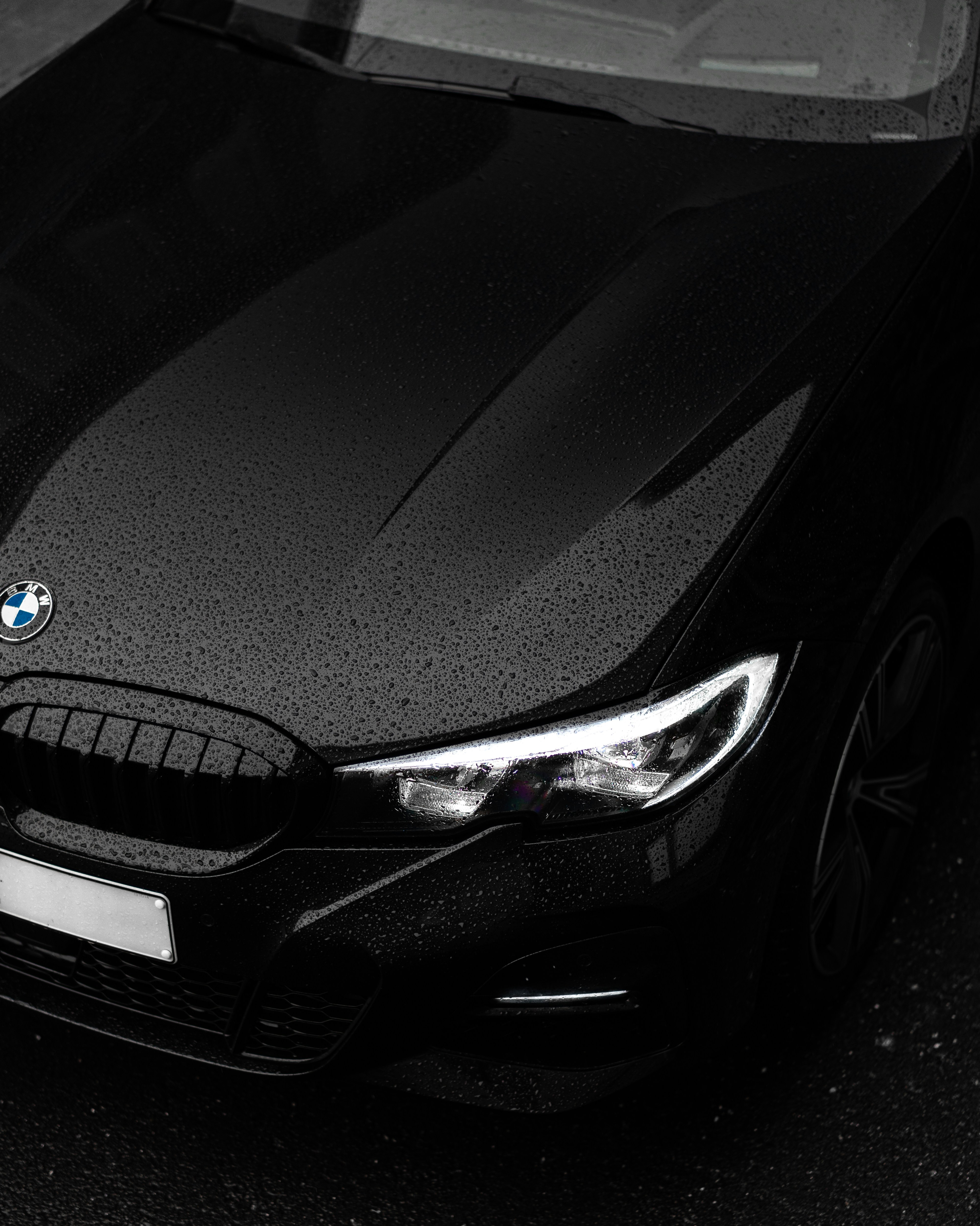 Gloss Wrapping